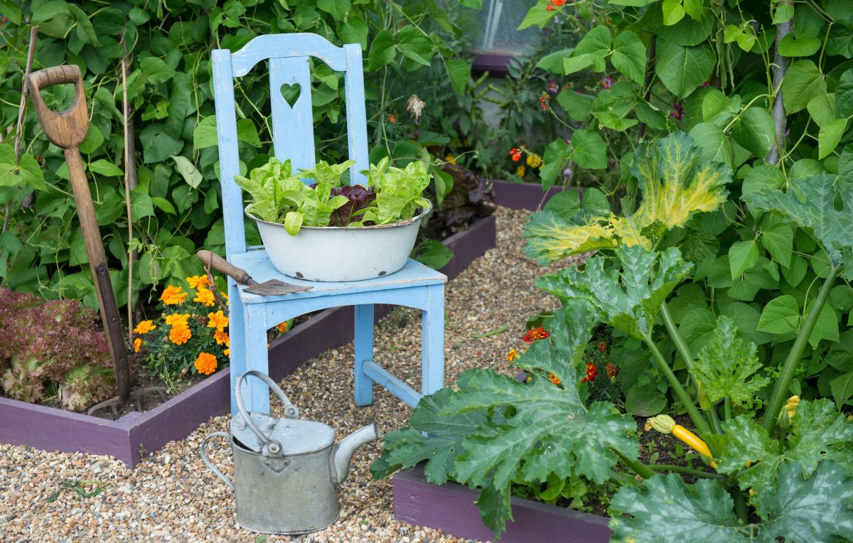 Kitchen Garden Design Ideas Landscaping Network