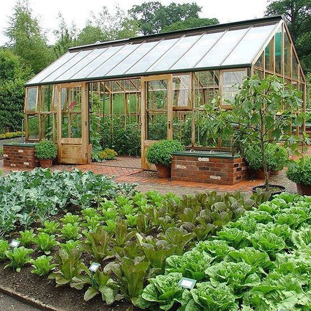 Potager Garden Design Ideas