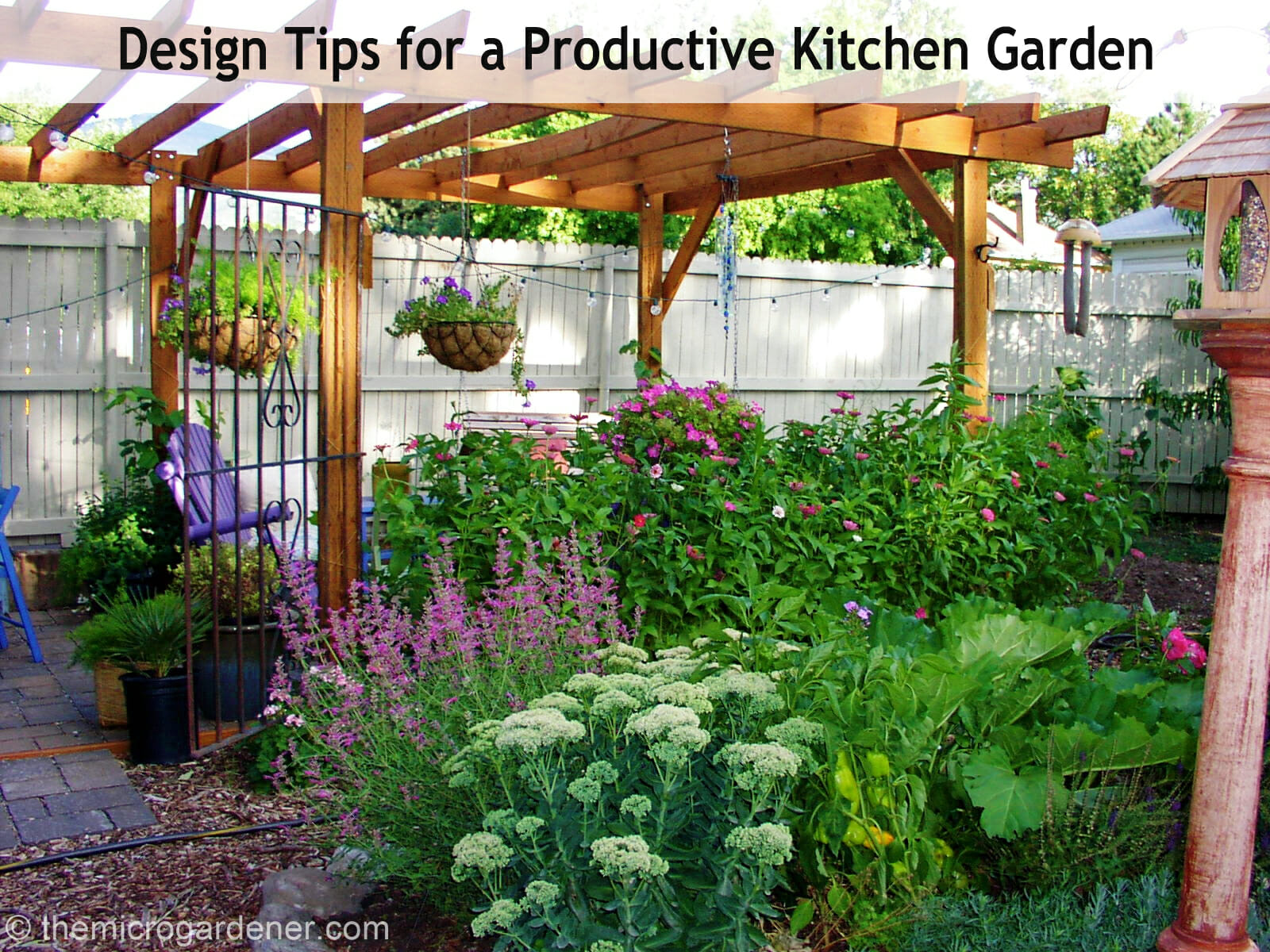 Vegetable Garden Layout