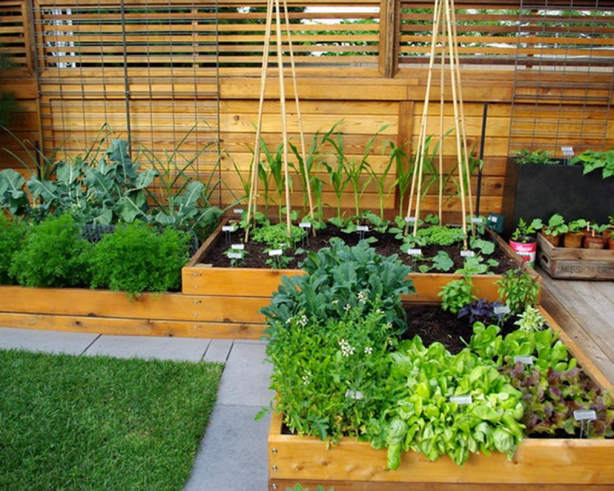 Vegetable Garden Layout