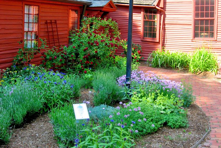 Best Colonial Williamsburg Gardens Images