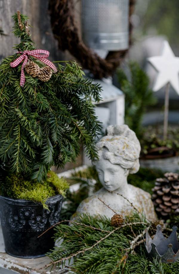 Inspiring Winter Container Gardening Ideas