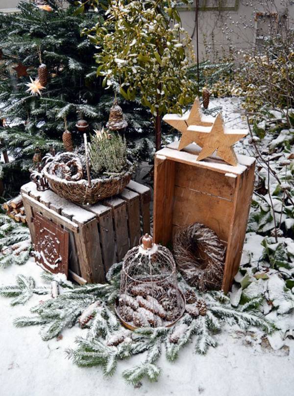 Inspiring Winter Container Gardening Ideas