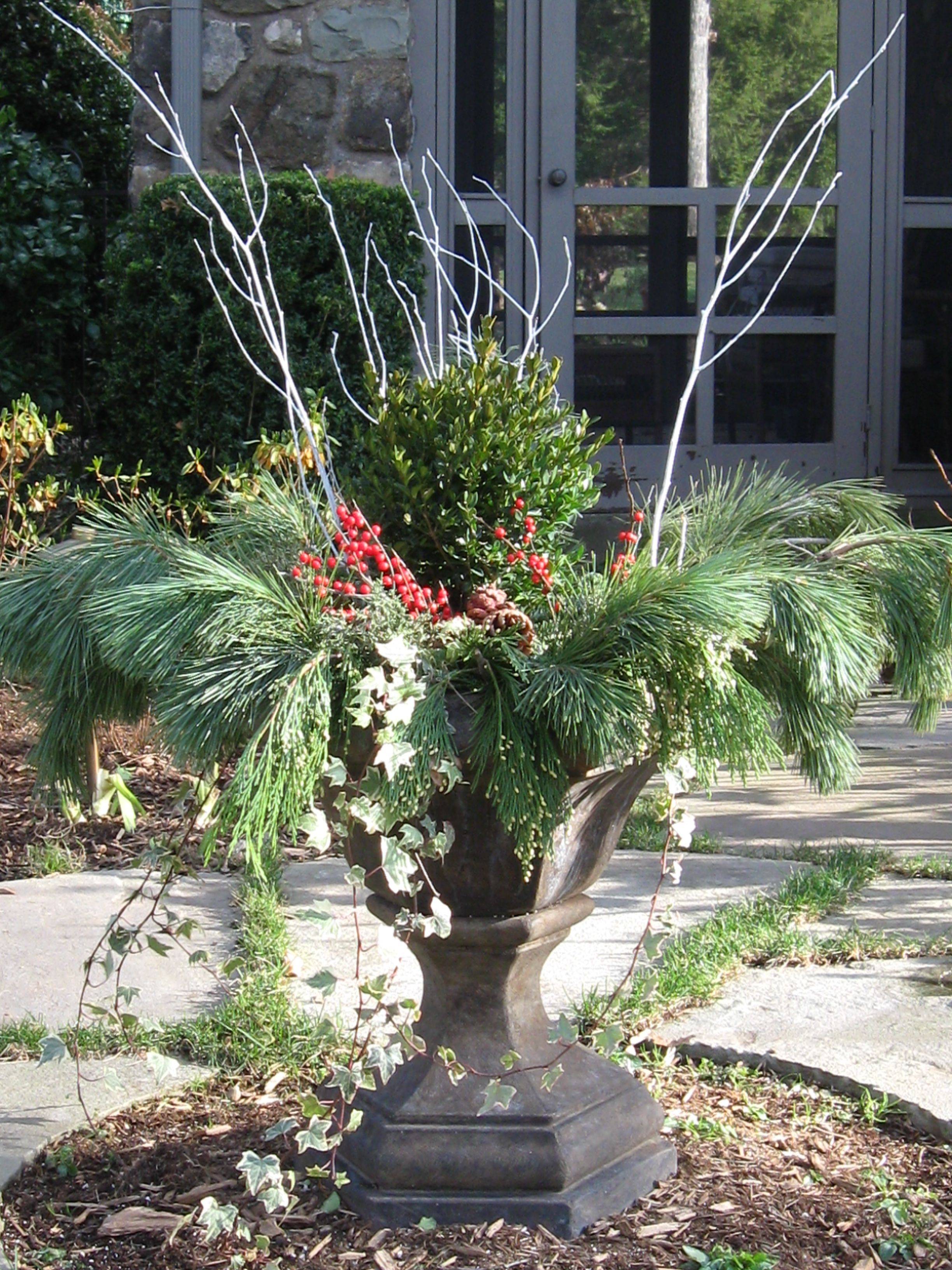 Most Beautiful Winter Garden Ideas