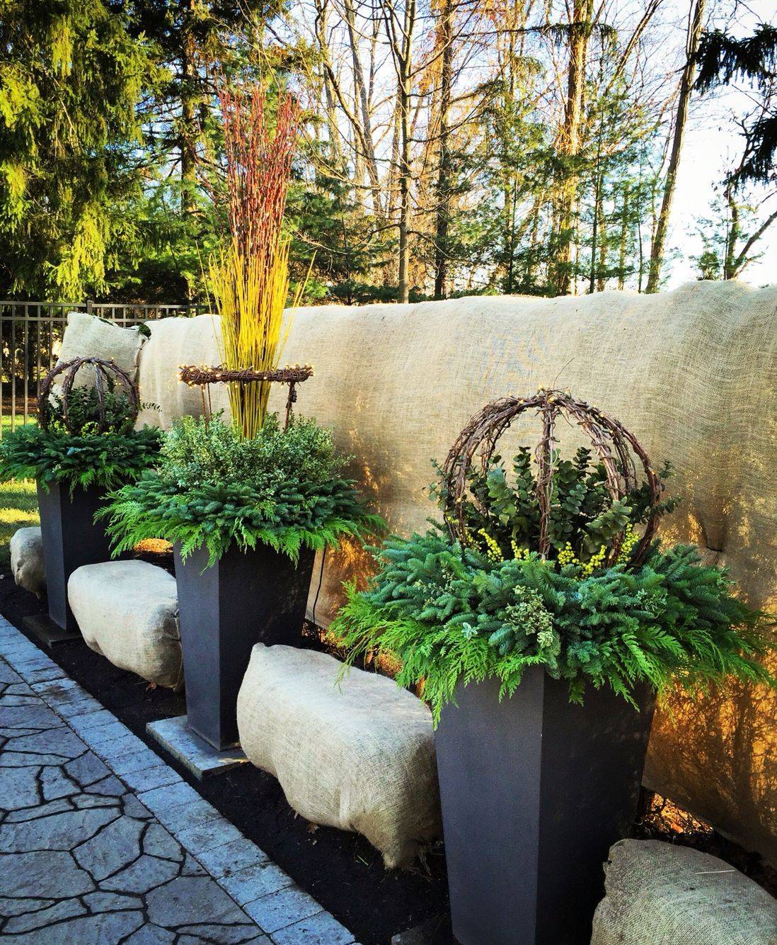 Inspiring Winter Container Gardening Ideas Magzhouse