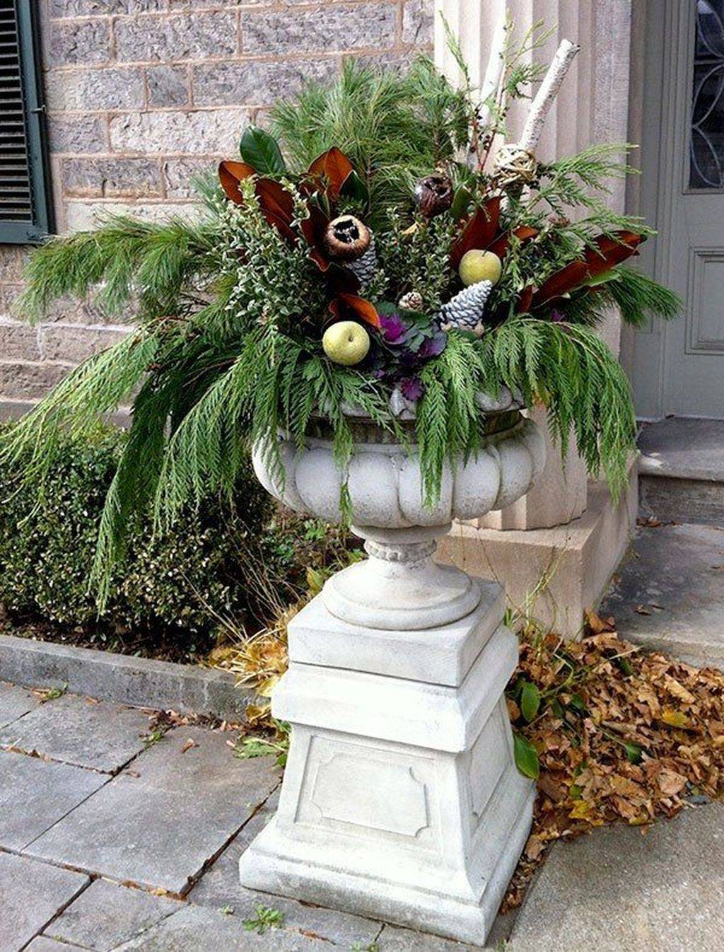 Inspiring Winter Container Gardening Ideas Magzhouse