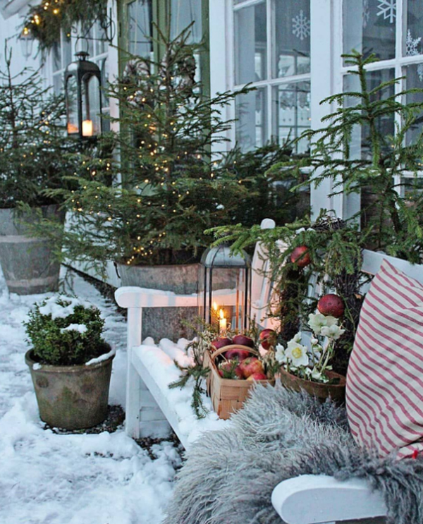 Inspiring Winter Container Gardening Ideas