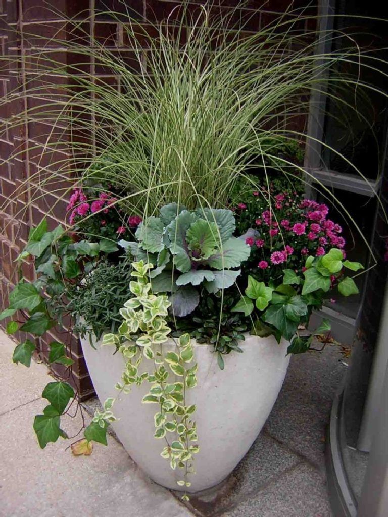 Inspiring Winter Container Gardening Ideas