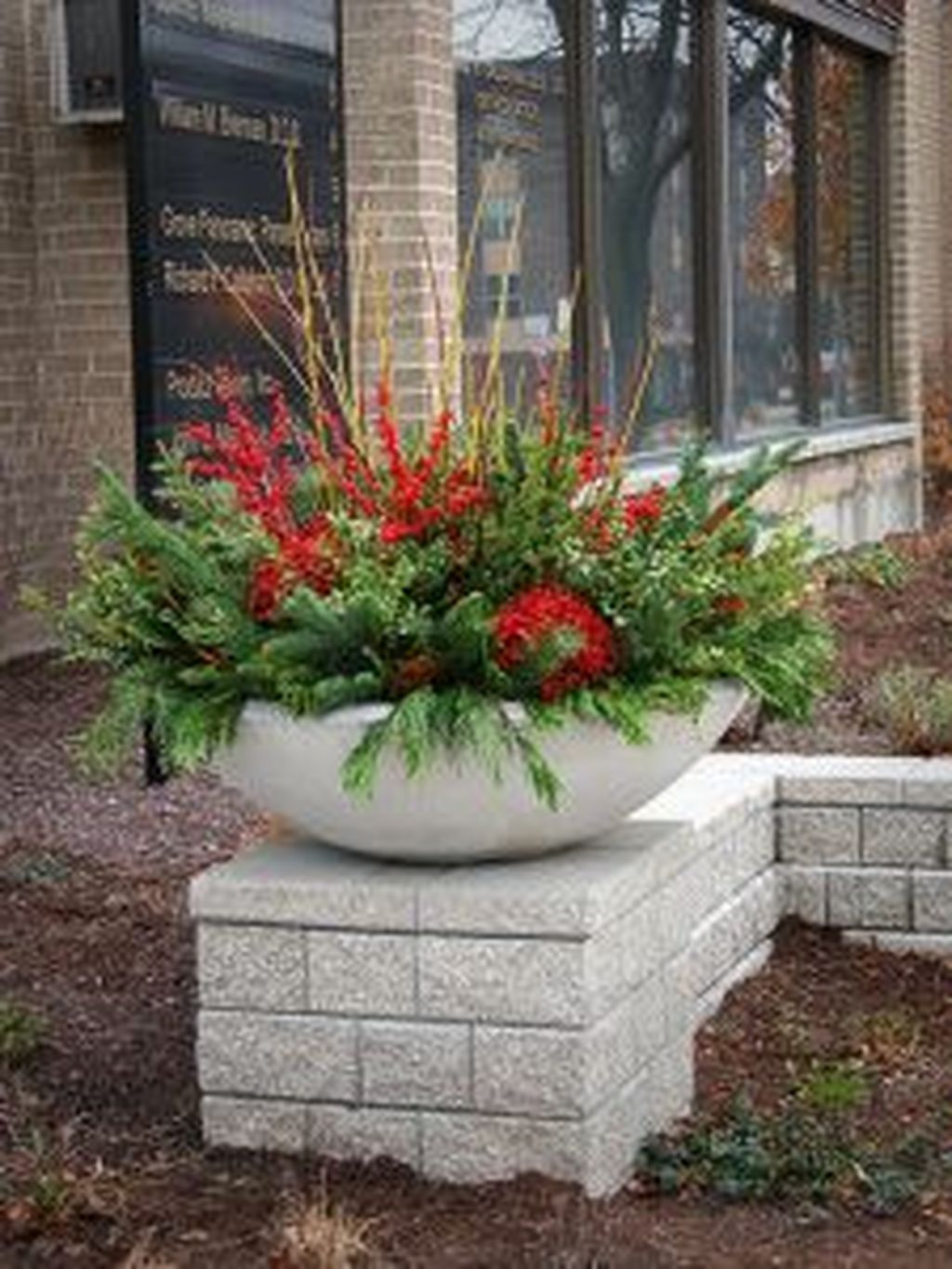 Lovely Winter Container Garden Idea