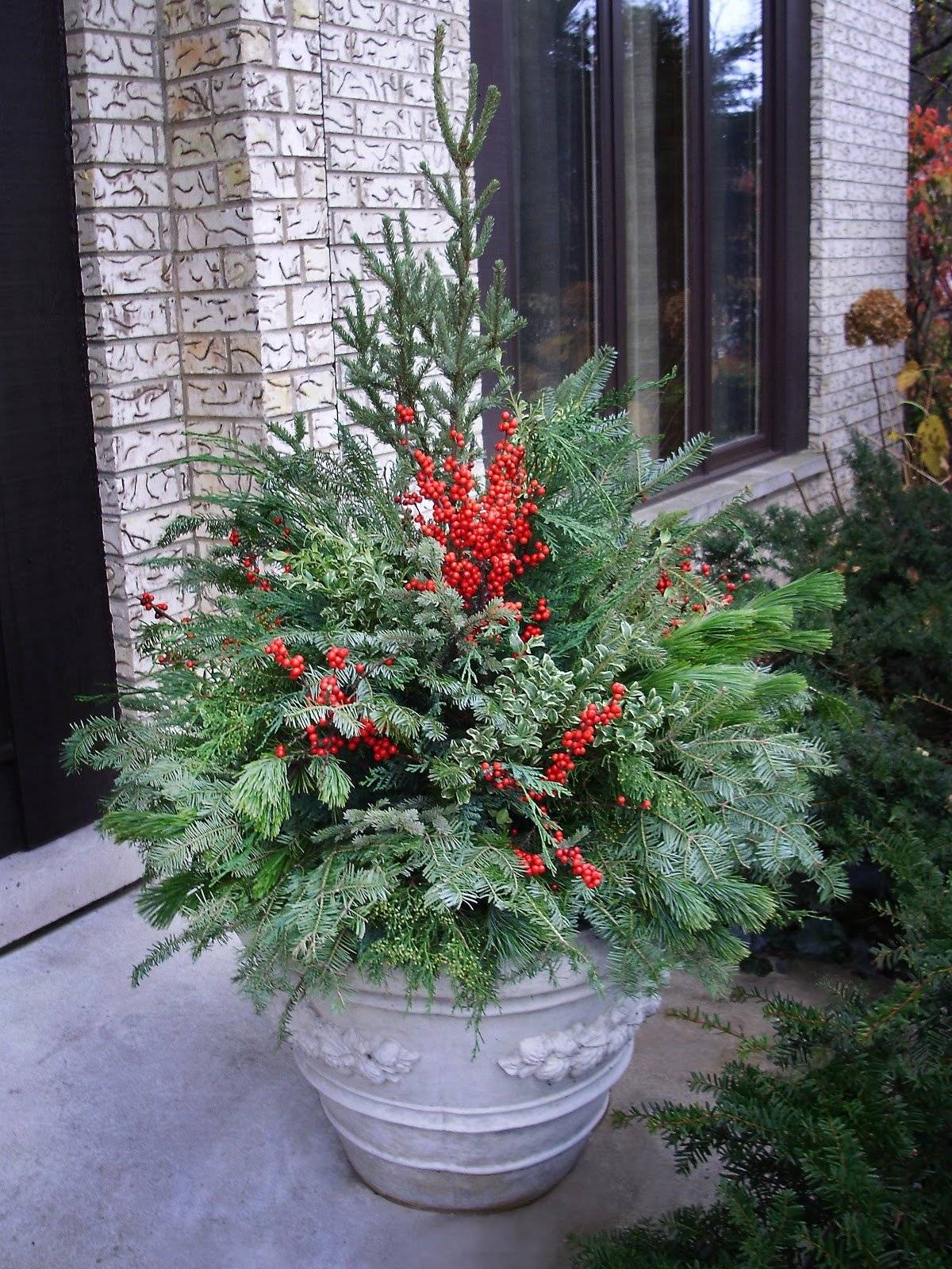 Container Gardening Ideas Winter Container Gardening Fall
