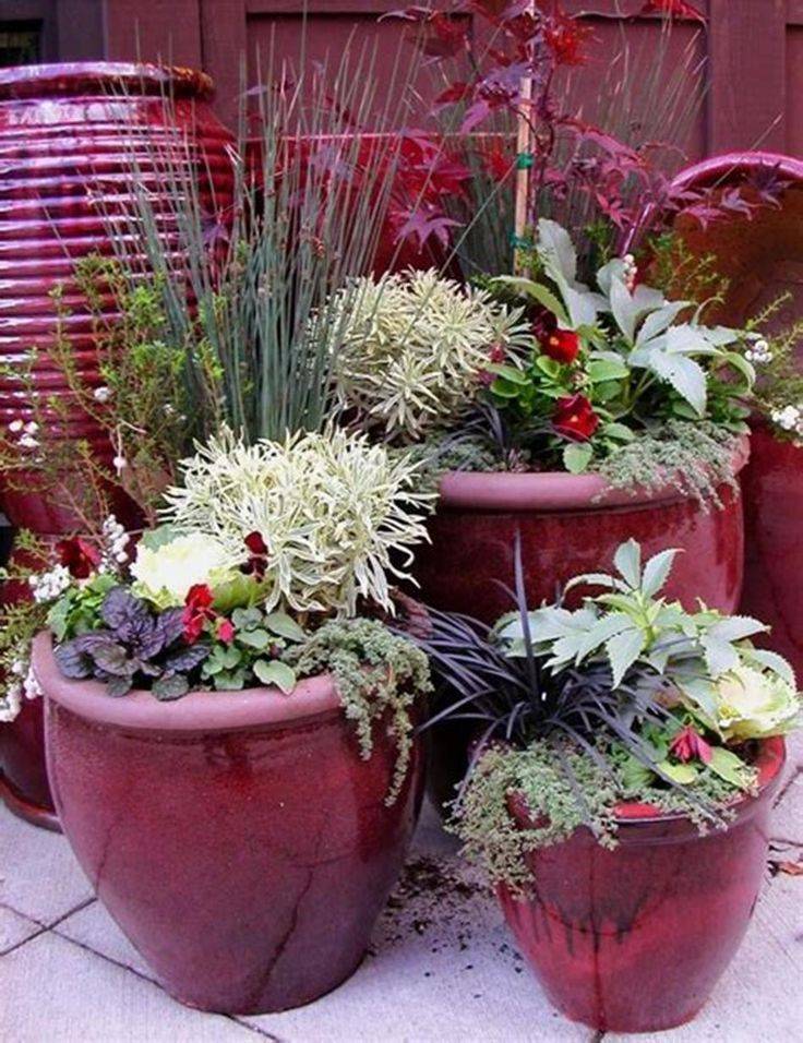 Container Gardening Ideas Winter Container Gardening Fall