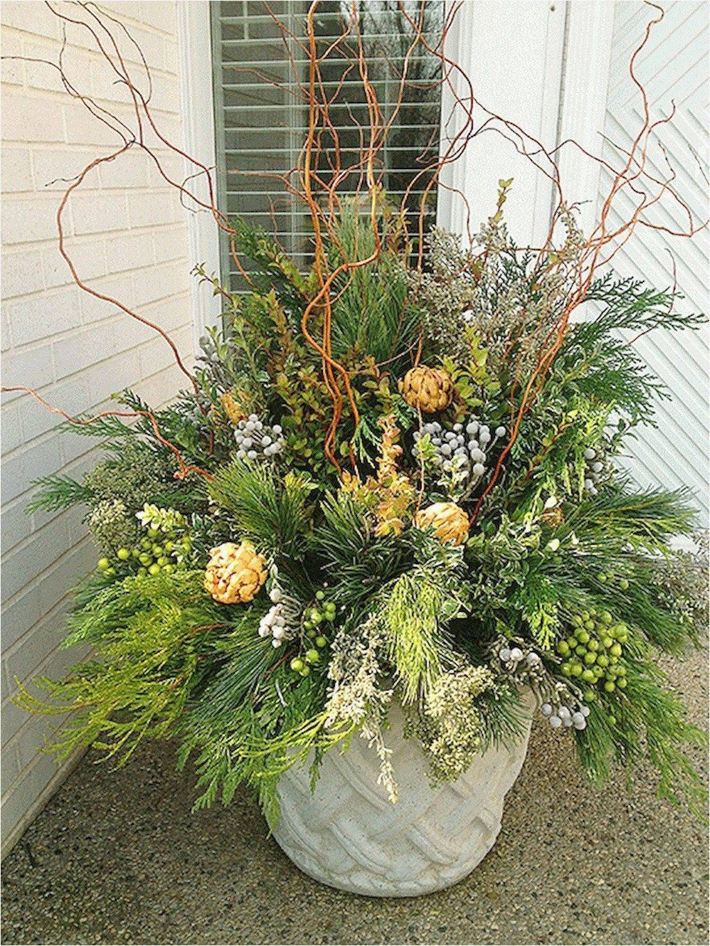 Inspiring Winter Container Gardening Ideas Magzhouse