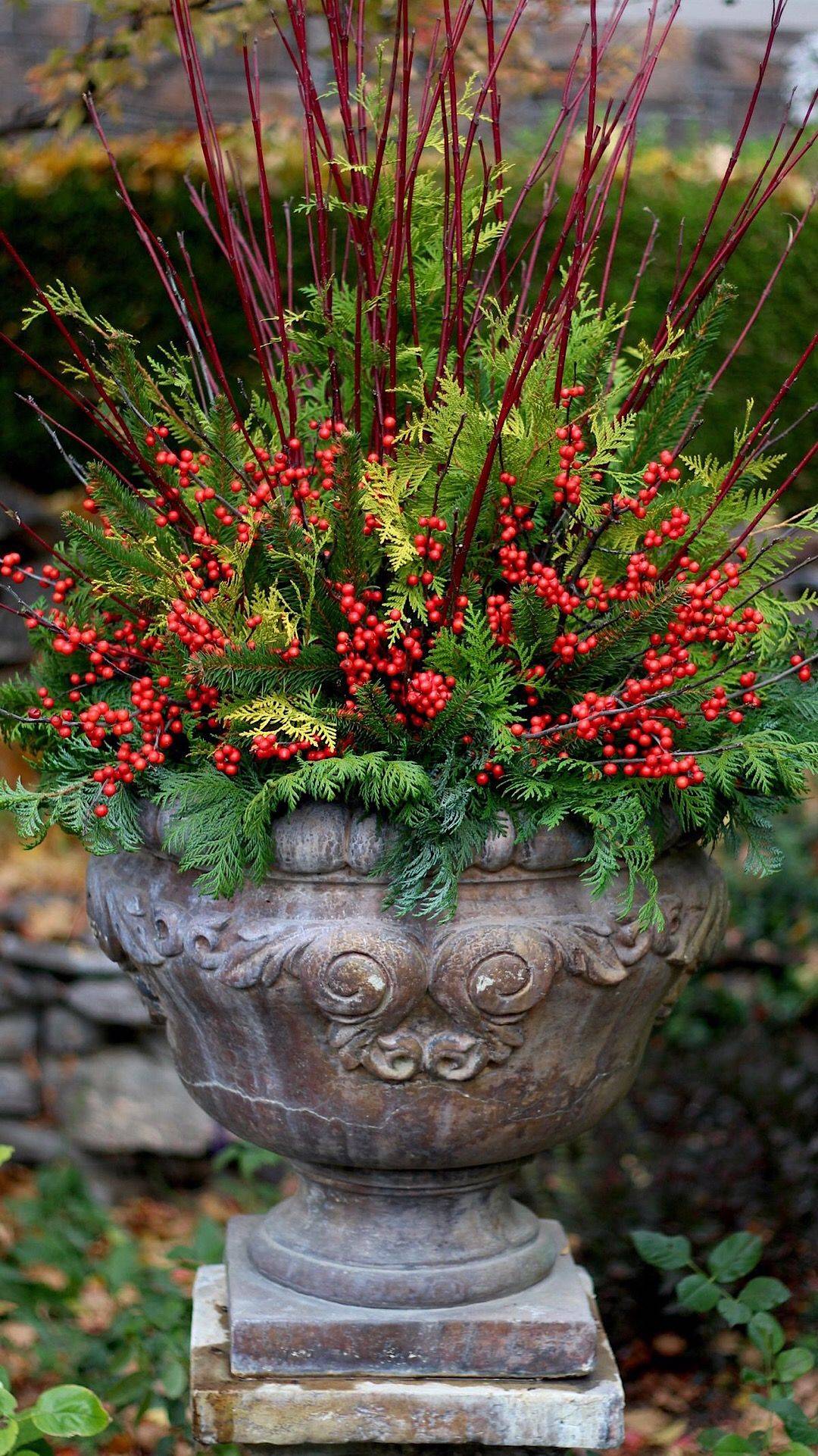 Astounding Incredible Fall Container Garden