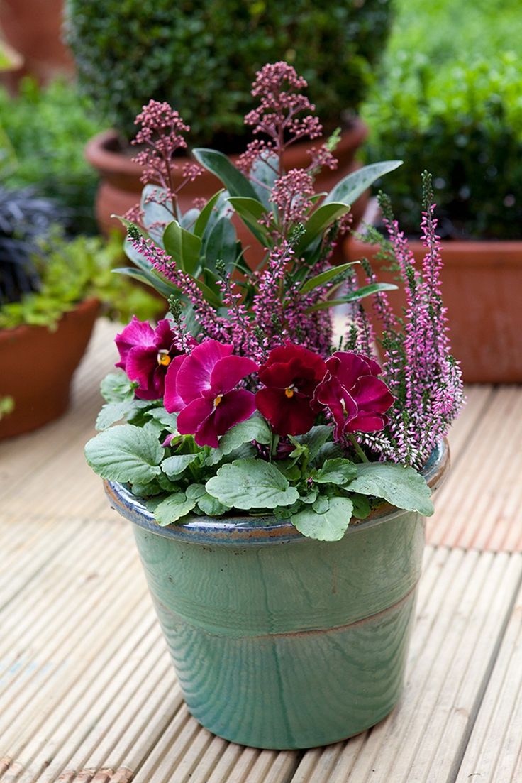 Winter Container Garden Ideas
