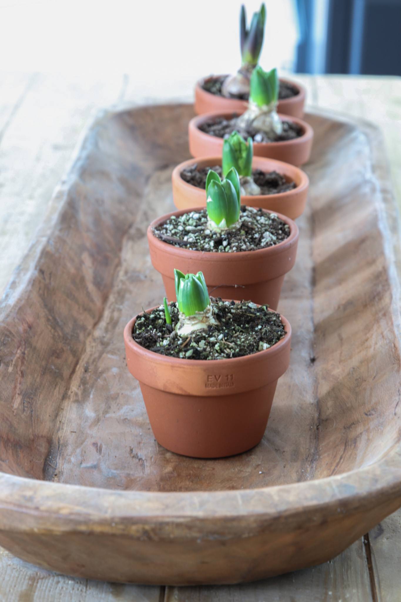 Wonderful Mini Indoor Gardening Ideas