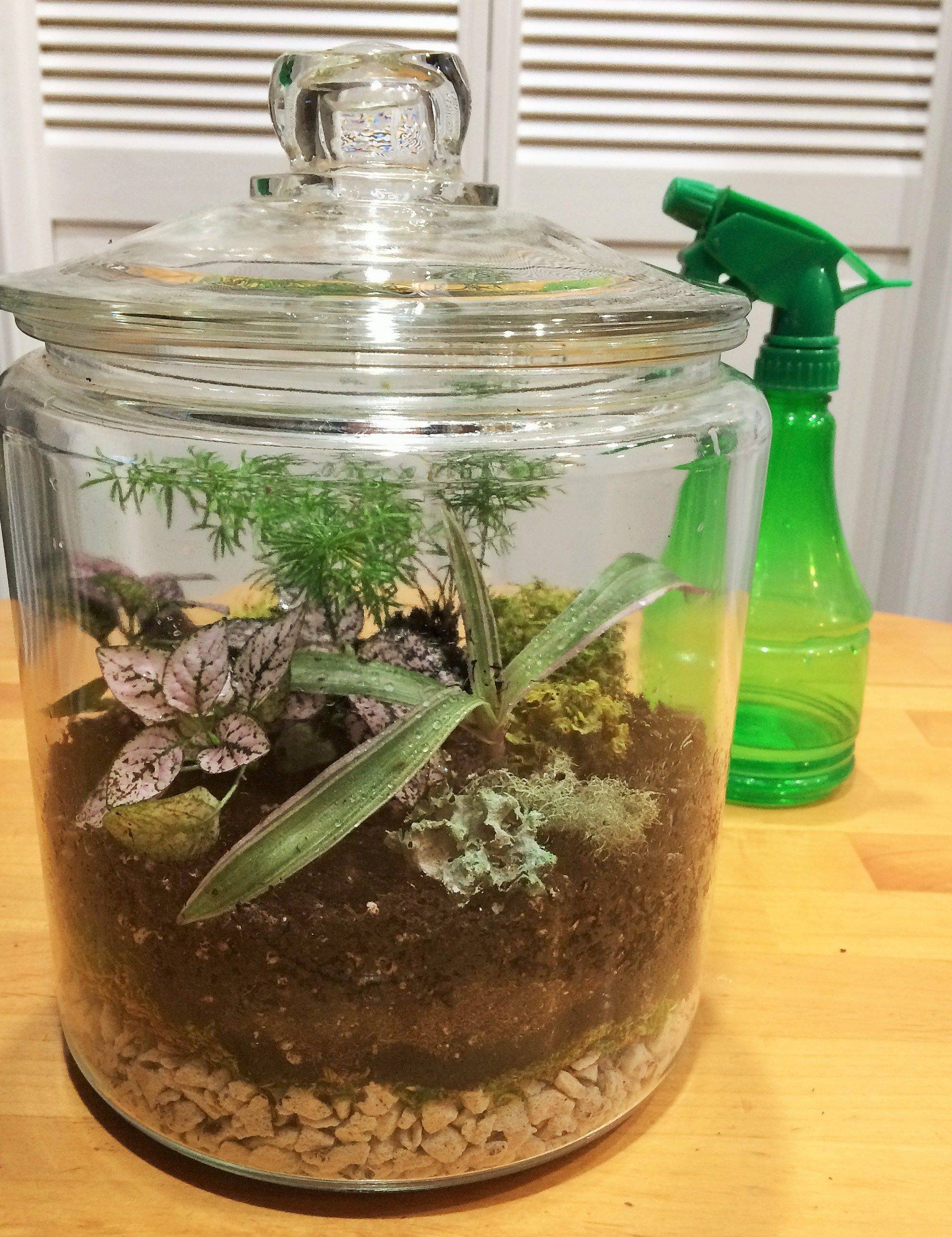 Indoor Winter Garden Ideas Pinecone Cottage Retreat