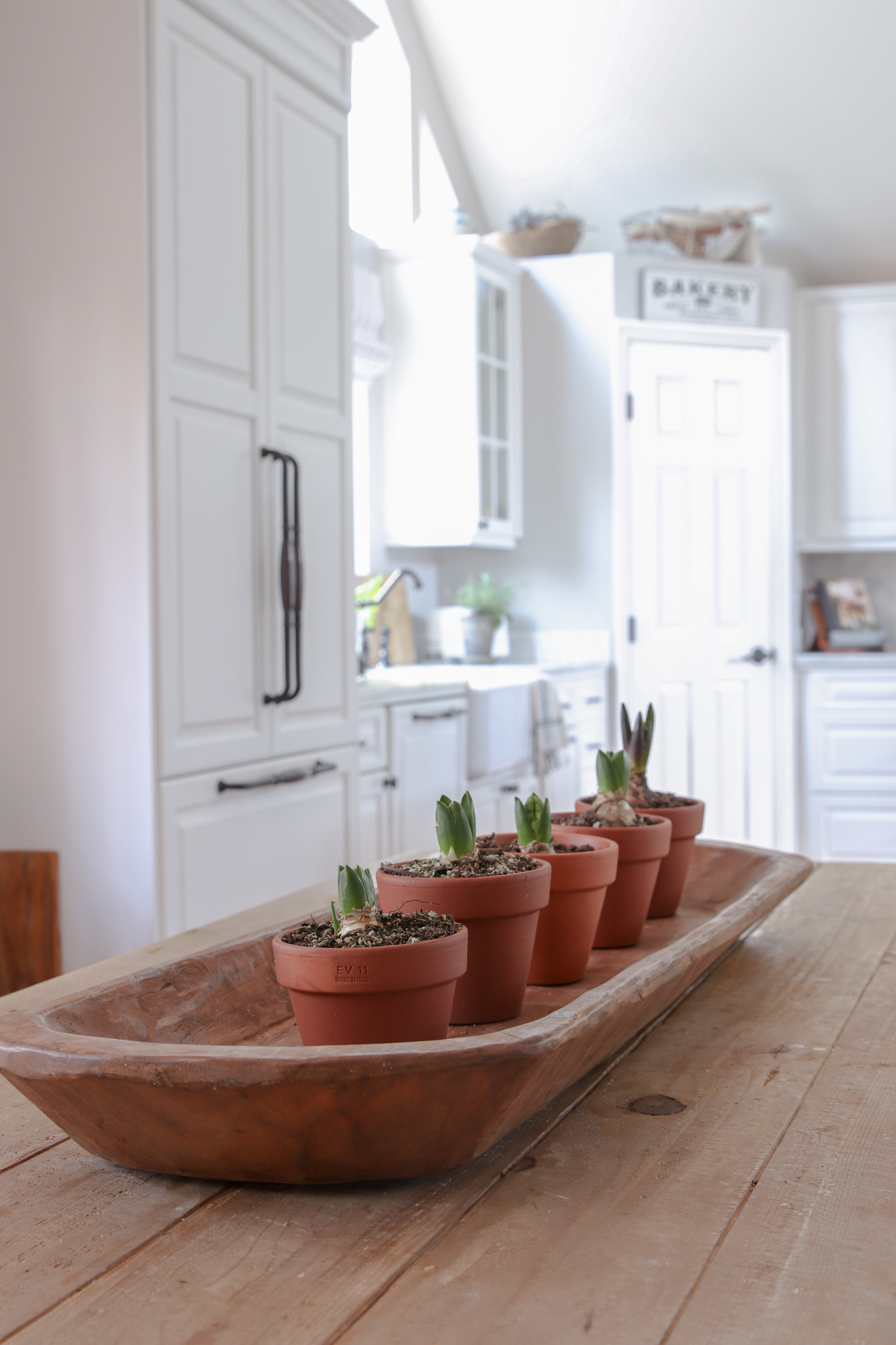 Indoor Winter Gardening