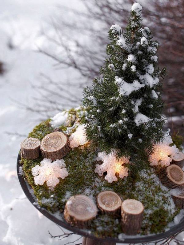 Most Beautiful Winter Garden Ideas