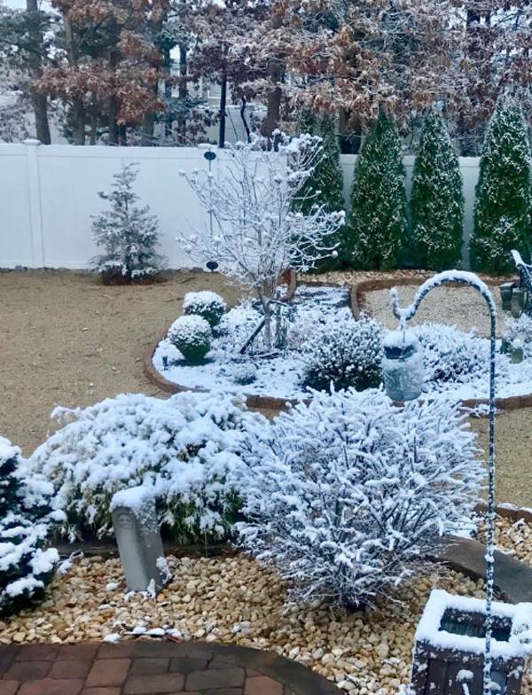 Most Beautiful Winter Garden Ideas