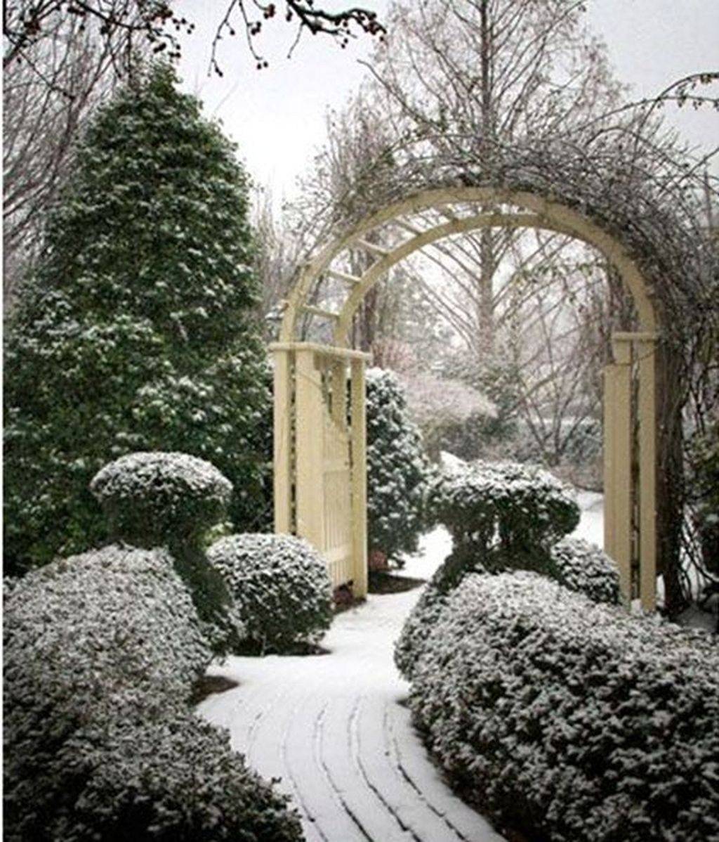 Most Beautiful Winter Garden Ideas