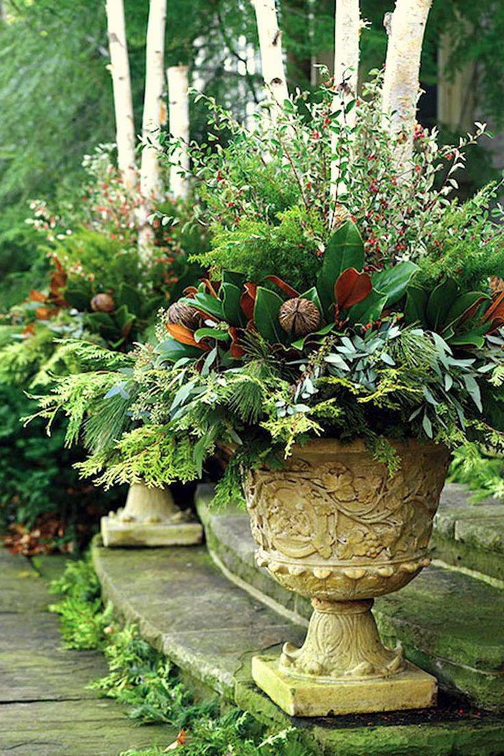 Most Beautiful Winter Garden Ideas