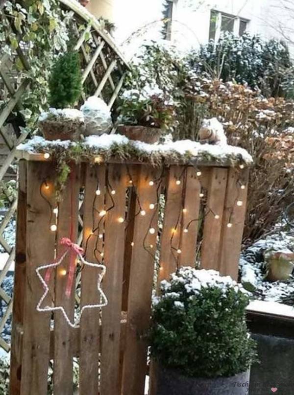Beautiful Winter Container Garden