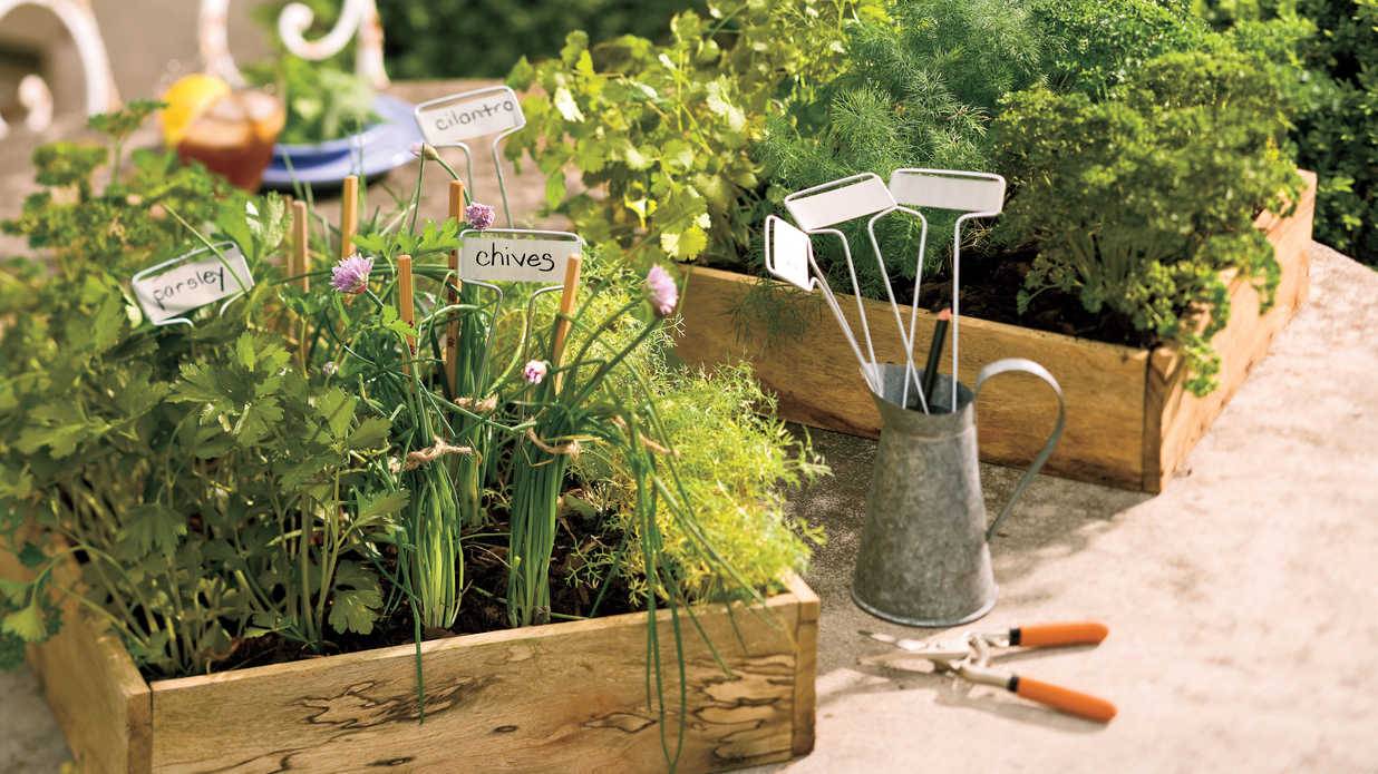 Gorgeous Fall Container Garden Ideas