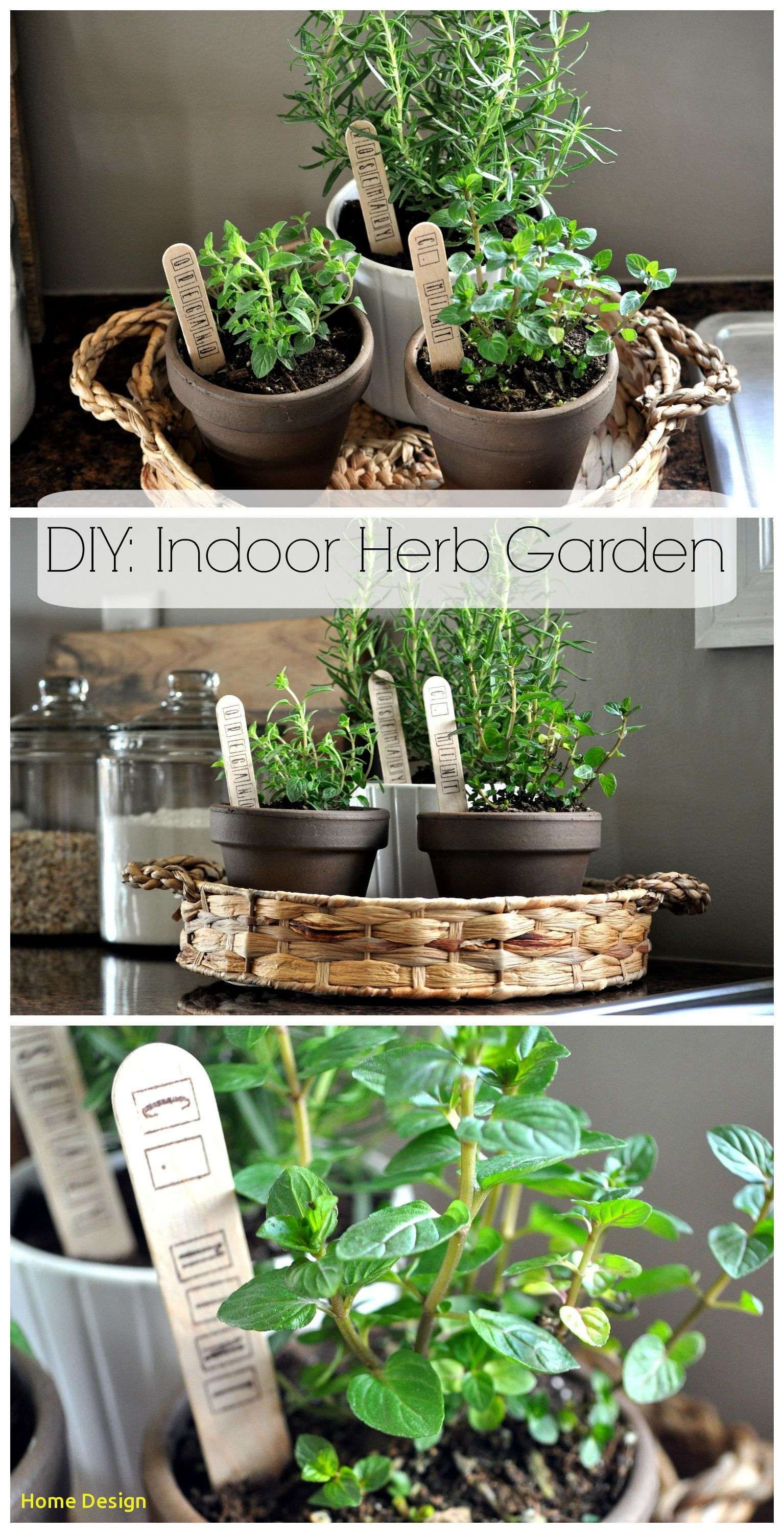 17 Winter Herb Garden Ideas You Should Look SharonSable