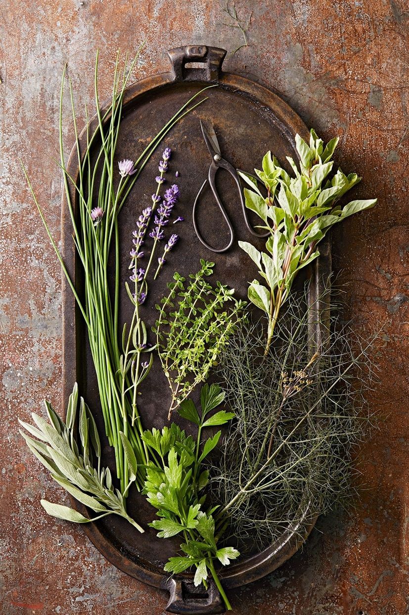 A Winter Herb Garden Video Abc News