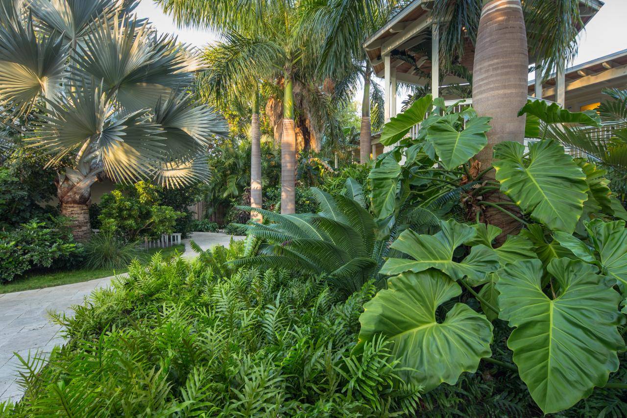 Perfect Tropical Garden Ideas