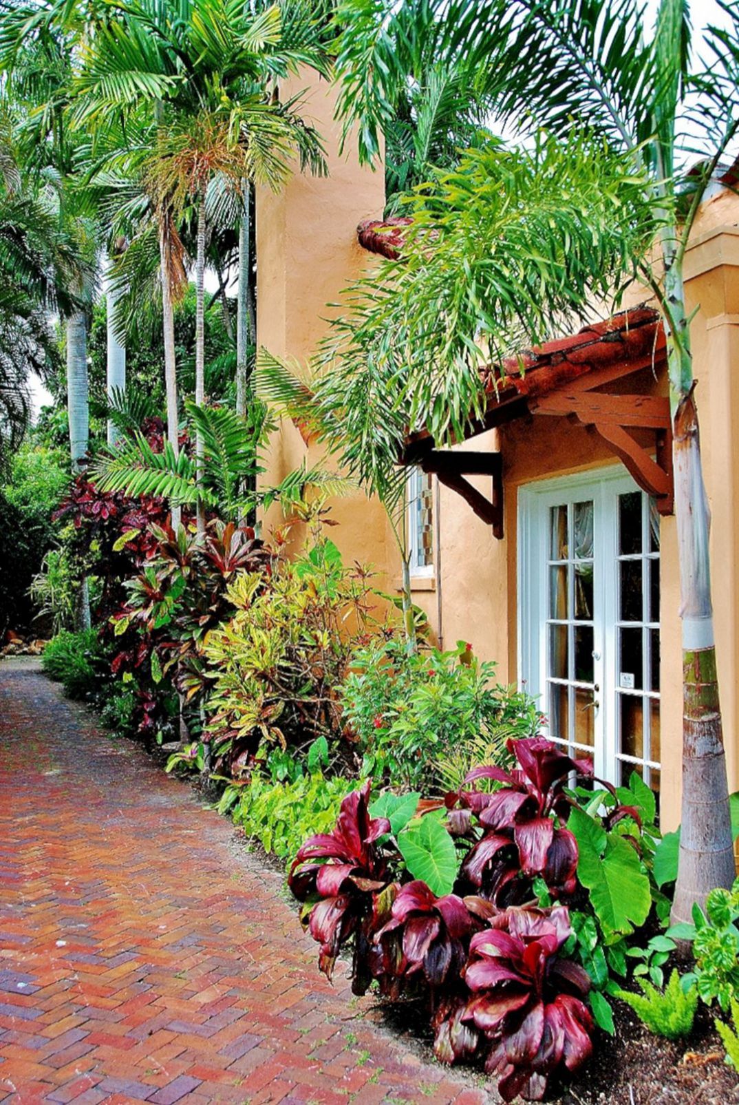 A Tropical Garden