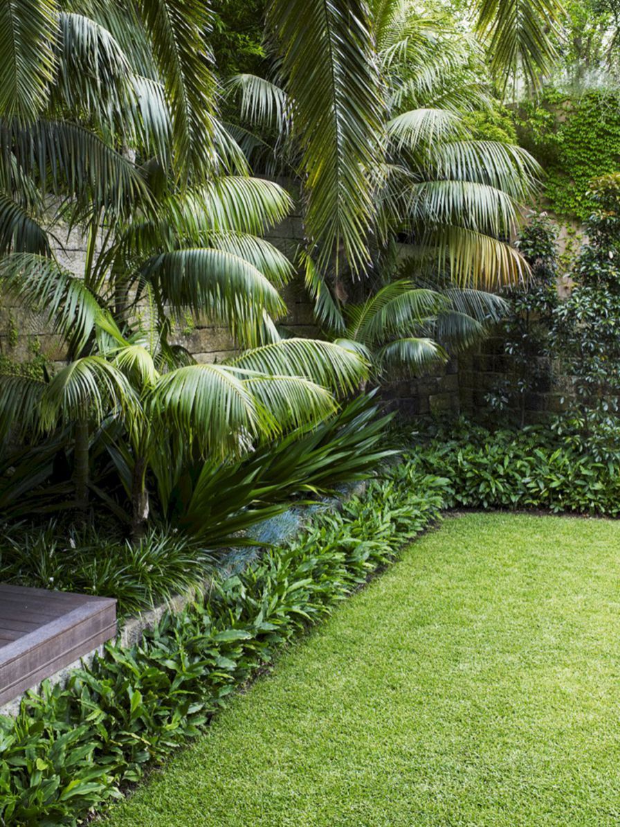 Low Maintenance Tropical Landscaping Ideas