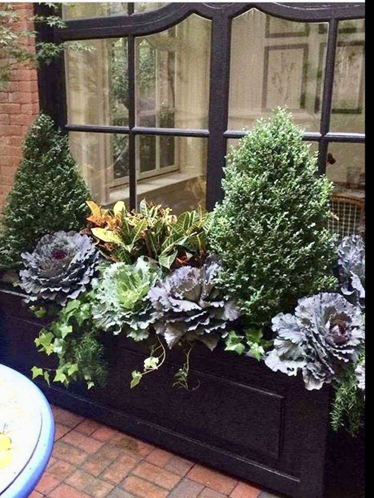 Winter Garden Design Ideas