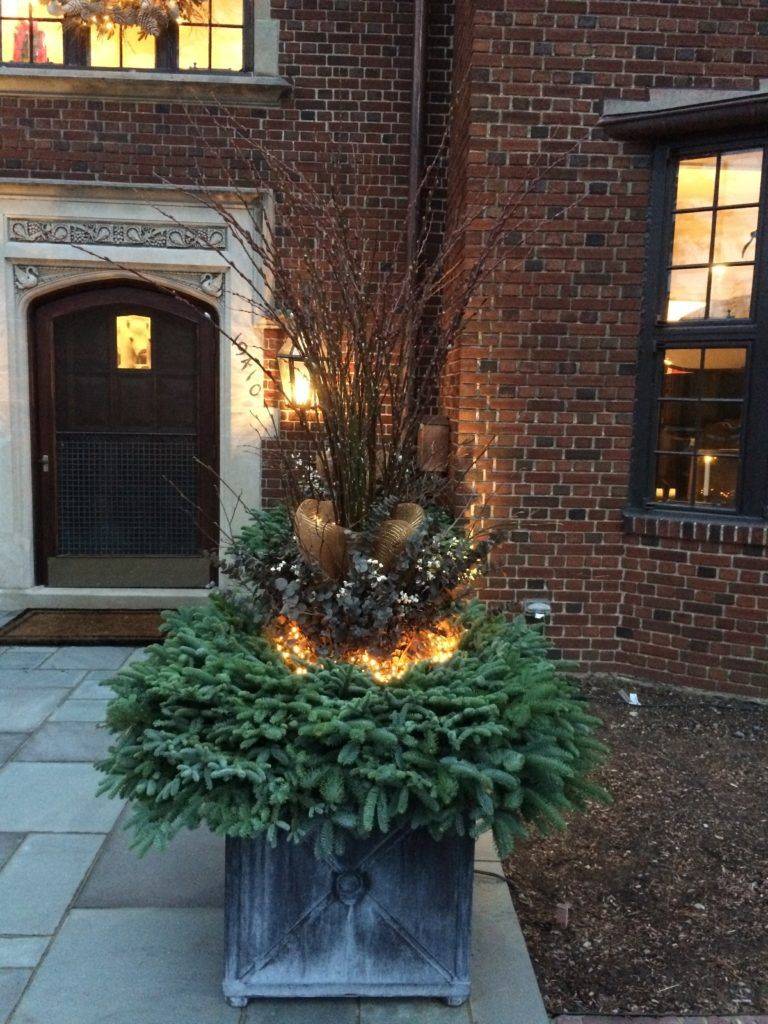 Winter Garden Design Ideas