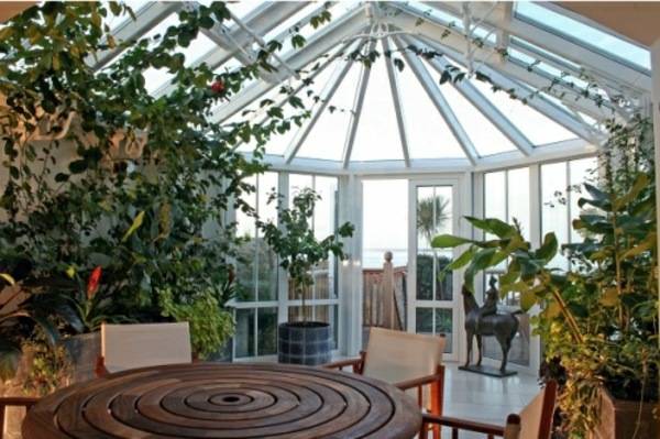 Indoor Window Planter Aloinfo