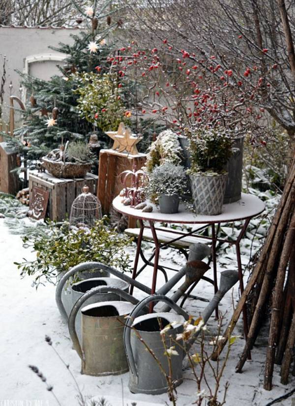 Most Beautiful Winter Garden Ideas