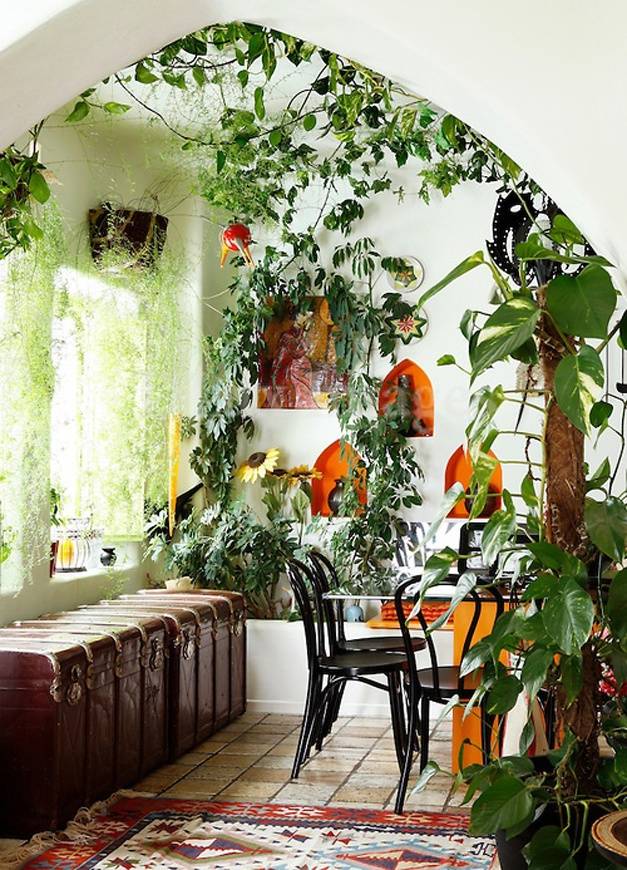 An Indoor Garden