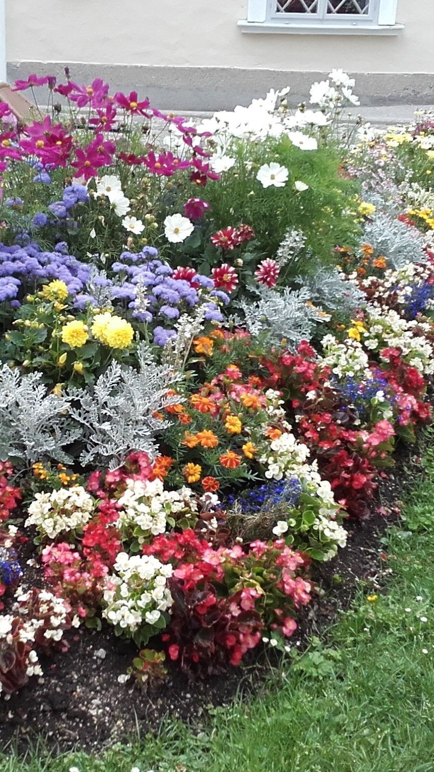 Vegetable Garden Design