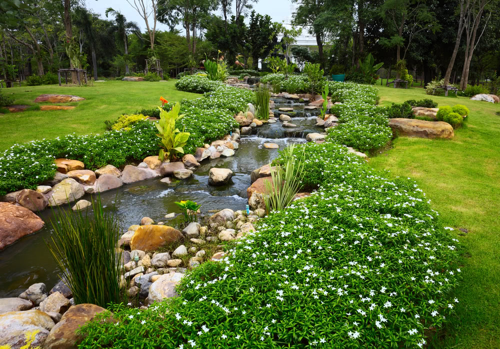 Vegetable Garden Design