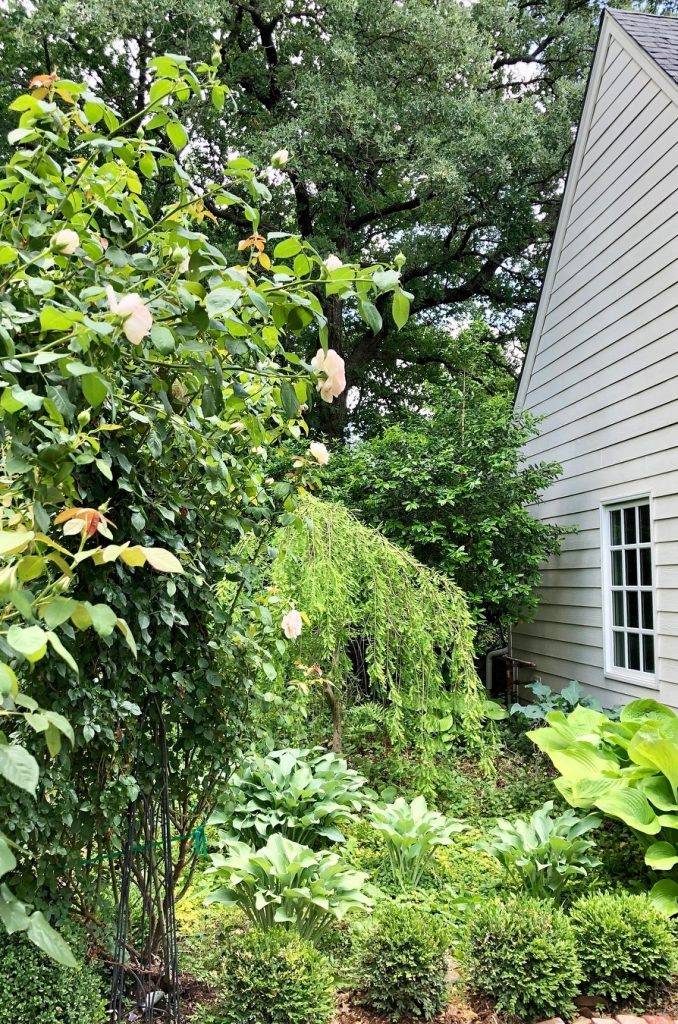 Different Design Elements Interior