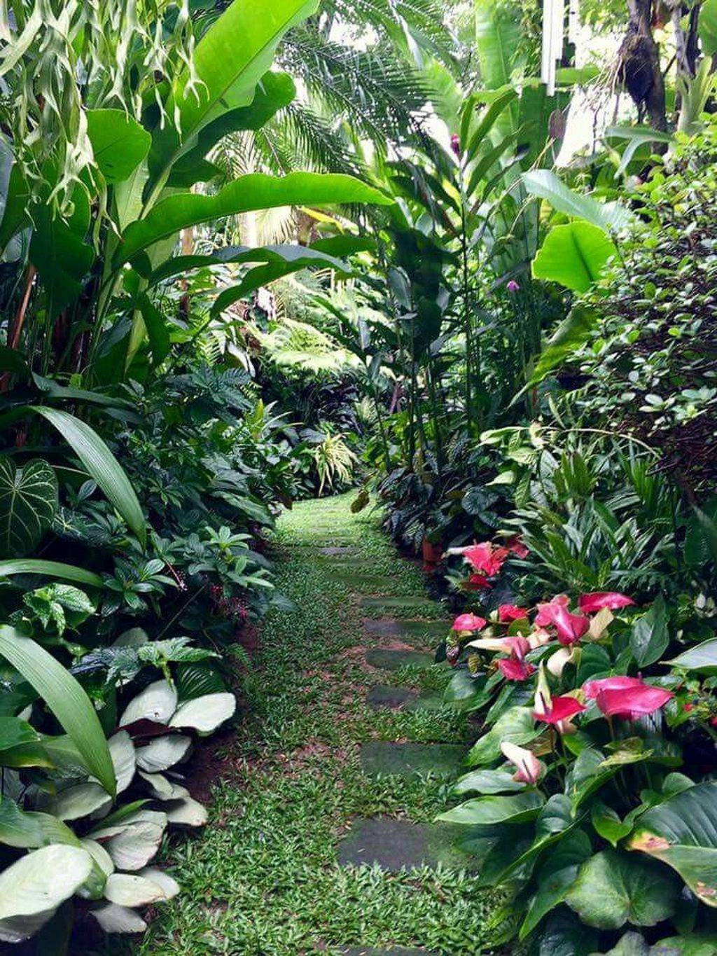 Tropical Plant Design Tropical Landscaping