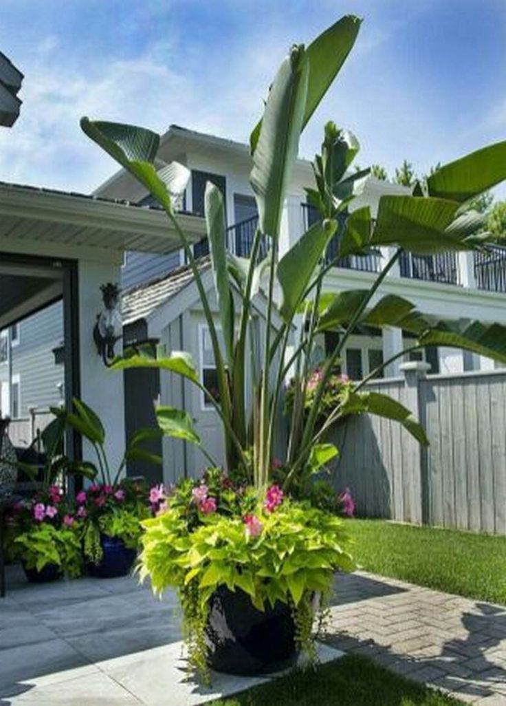 Tropical Flower Garden Design Ideas