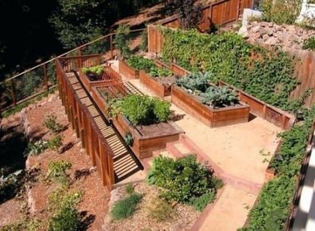 Terraced Garden Ideas