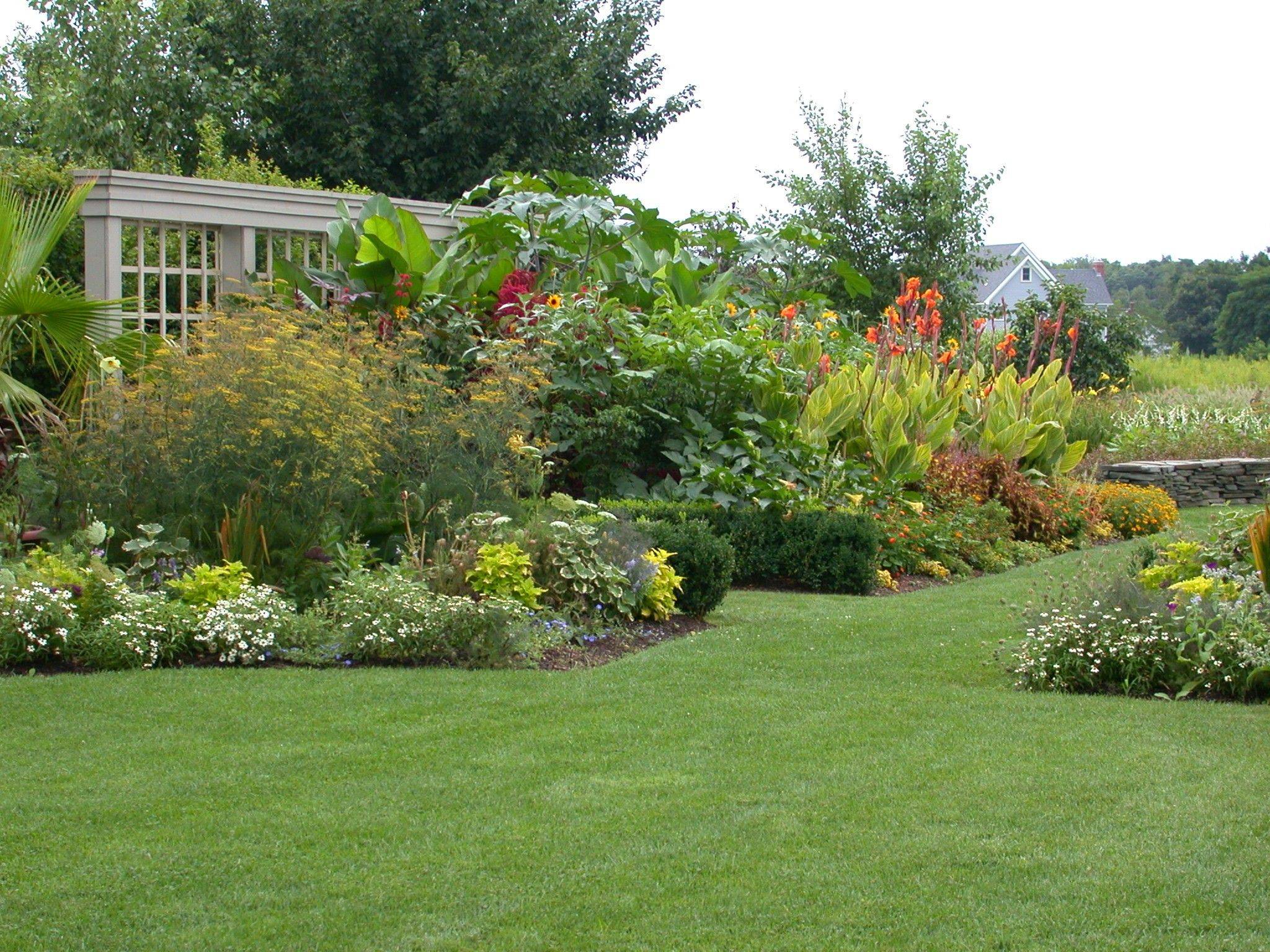 Trimezia Martinicensis