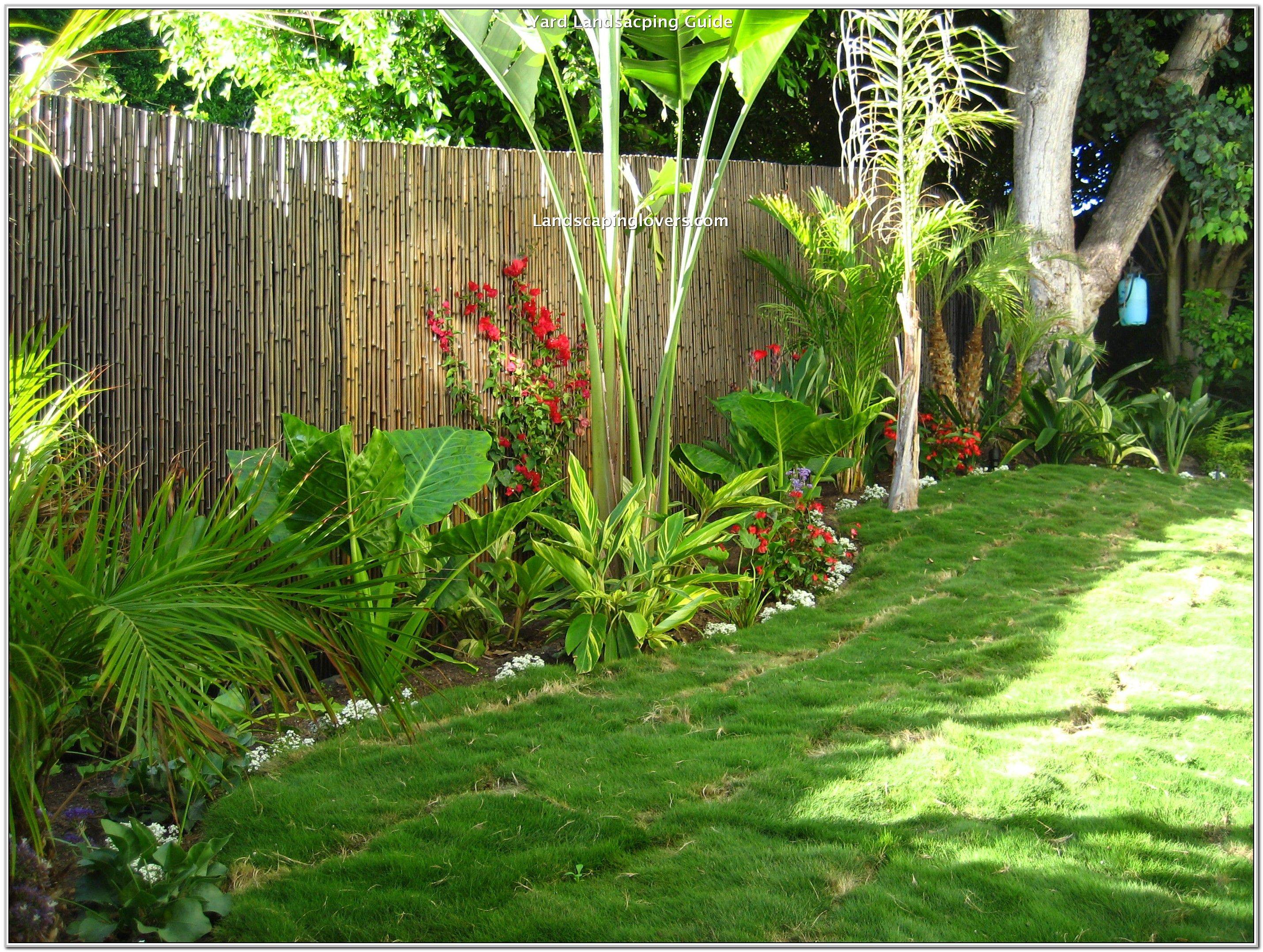24 Tropical Garden Border Plants Ideas You Must Look SharonSable