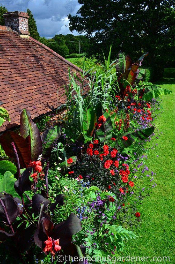 Garden Open Days Garden Ideas