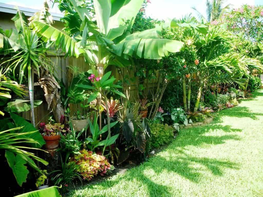 Garden Shots Landcraft Environments Wholesale Tropical Plants