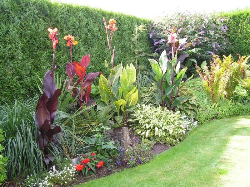 This Necessary Image