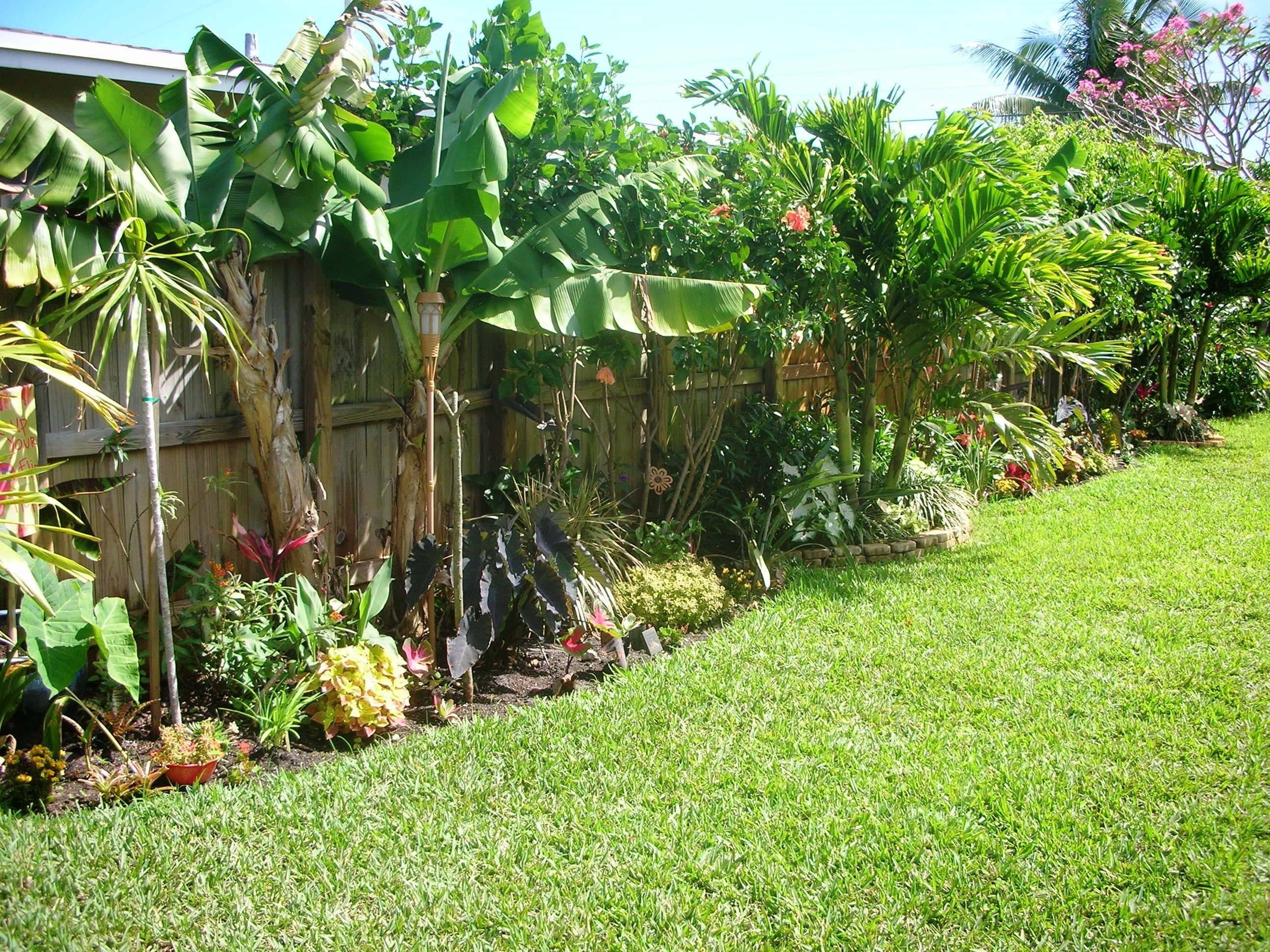 Outstanding Tropical Landscaping Design Ideas