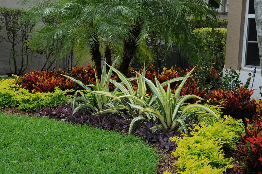 Tropical Garden Design